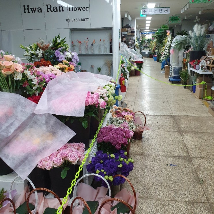  양재꽃시장일요일휴무 헛걸음리뷰