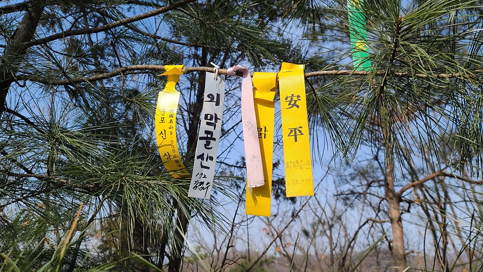 언덕밑산 사진 4