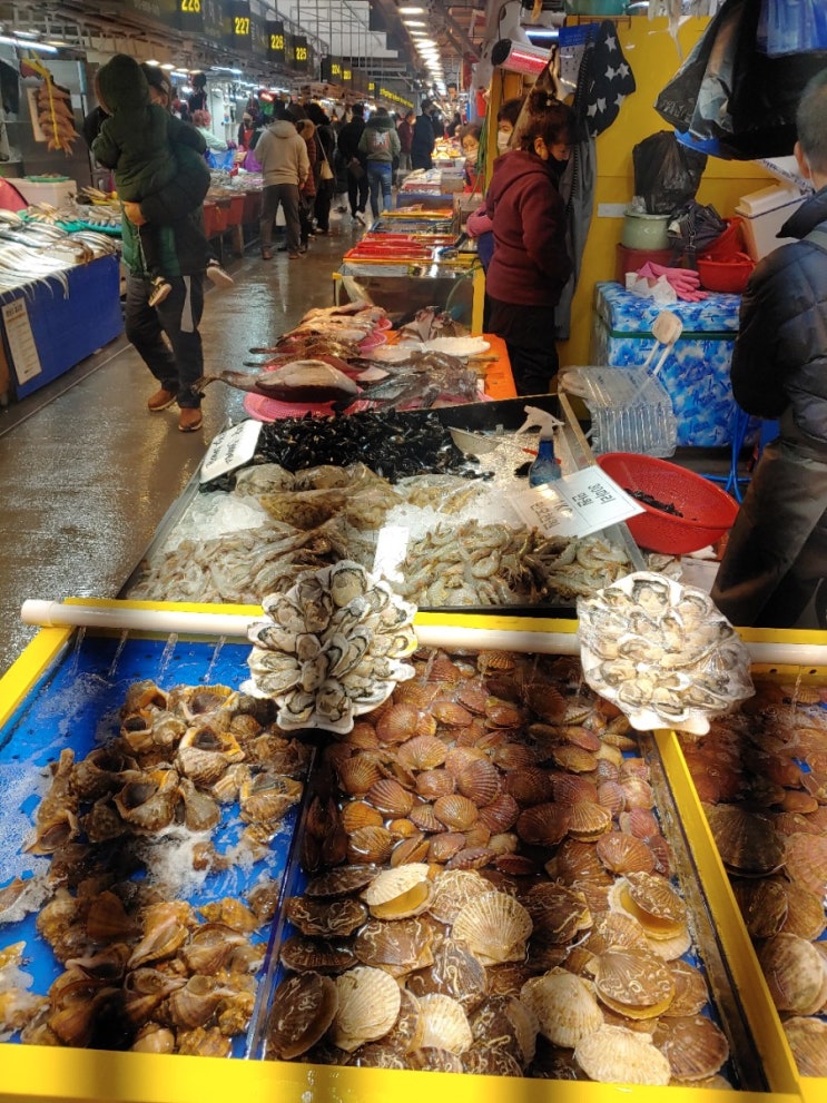 갑자기 소래포구 종합어시장 지금맛있는 꽃게  꽃게찜과 간장게장