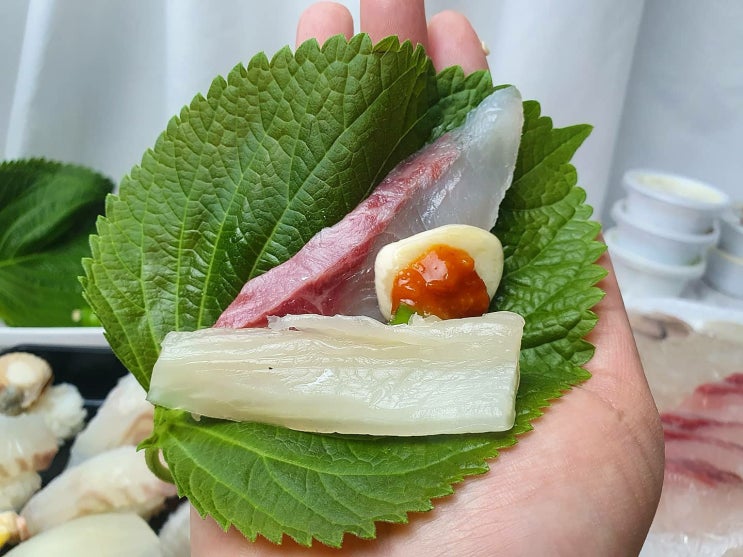  인천 당하동 맛집 검단어시장 회 포장 후기(주인장 알아서)