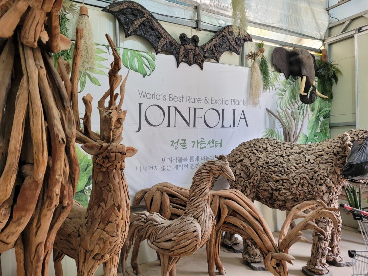  파주 조인폴리아/파주 가볼만한 곳/식쇼핑