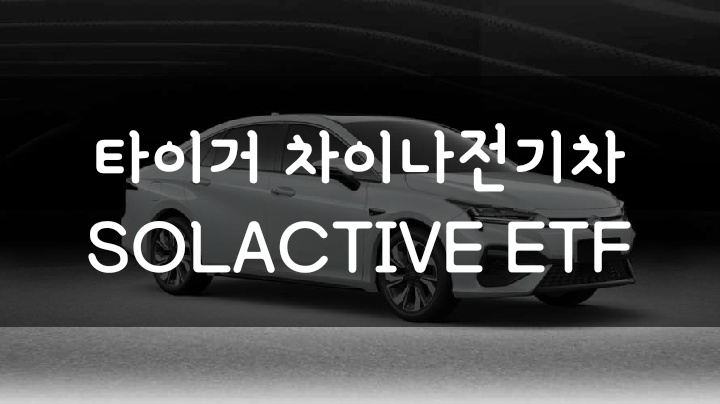 중국 전기차 관련 주식에 투자하고 싶다면? TIGER 차이나전기차 SOLACTIVE ETF 분석 중국 전기차 관련 주식에 투자하고 싶다면? TIGER 차이나전기차 SOLACTIVE ETF 분석