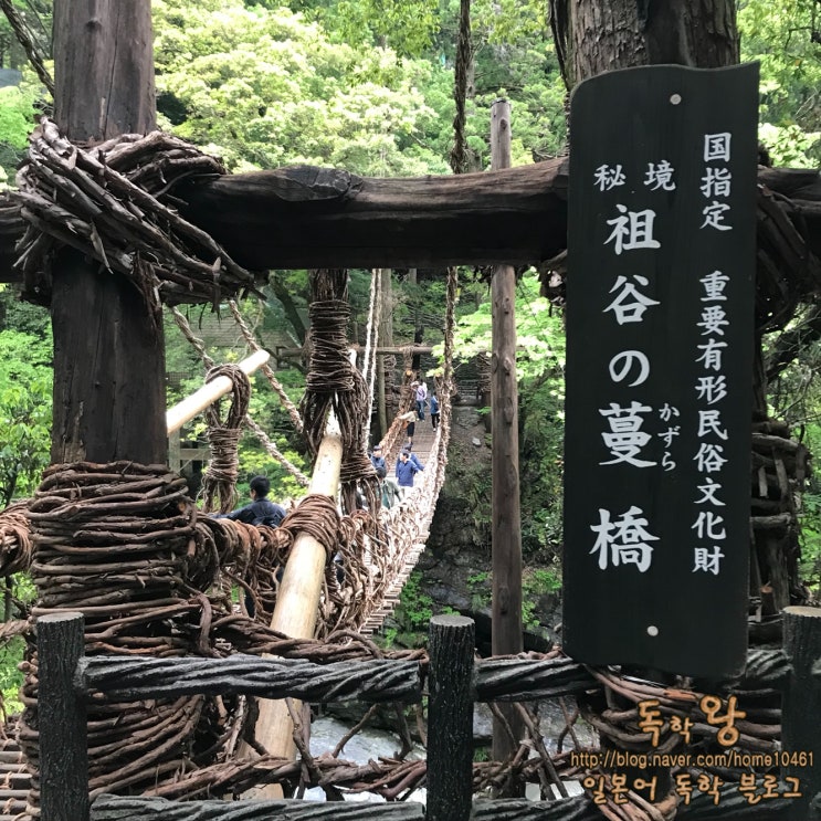  일본 전국 일주 16일차 - 도쿠시마(카즈라바시(祖谷のかずら橋)/비와폭포(비와노타키,琵琶の滝)/이야 계곡(Iya Valley (祖谷渓))