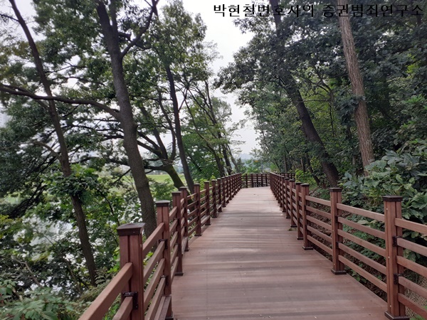  부정한 수단, 계획 또는 기교를 사용하는 행위(법 제178조 제1항 제1호)