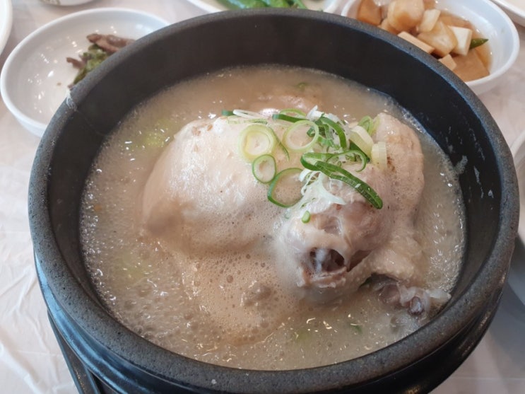 대구 북구 침산동 삼계탕 맛집 : 닭올닭 / 녹두 삼계탕 맛집 / 찜닭 맛집 / 삼계탕으로 건강 챙기기