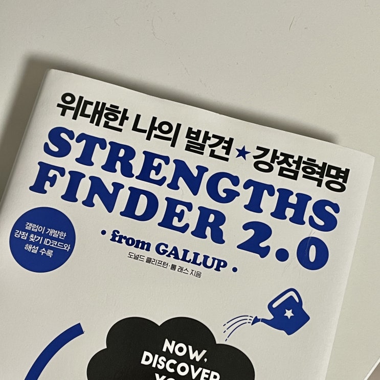  위대한 나의 발견 강점 혁명 - 자기발견을 도와주는 스트렝스파인더