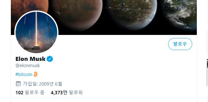 일론 머스크 한마디에 비트코인 리플 급등 일론 머스크 한마디에 비트코인 리플 급등