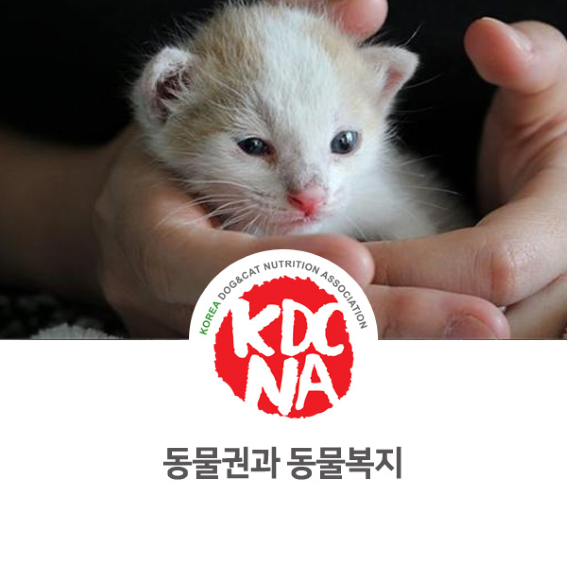  [유기견/한국반려동물영양협회/펫영양사/펫푸드자격증] 강아지 고양이 행복을 위한 동물권과 동물복지_719