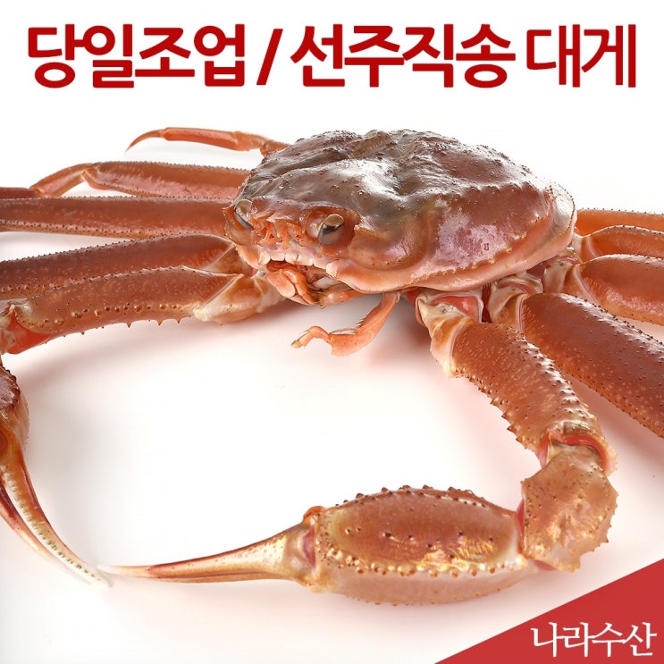 구매평 좋은 나라수산 선주직송 영덕대게 박리다메 박달홍게, 1box, 01_영덕대게(A형)3마리 좋아요 구매평 좋은 나라수산 선주직송 영덕대게 박리다메 박달홍게, 1box, 01_영덕대게(A형)3마리 좋아요