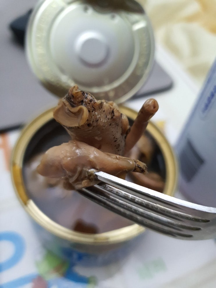  더쎄를라잇브루잉과 유동 콜라보:유동골뱅이맥주 CU편의점에서 샀어요