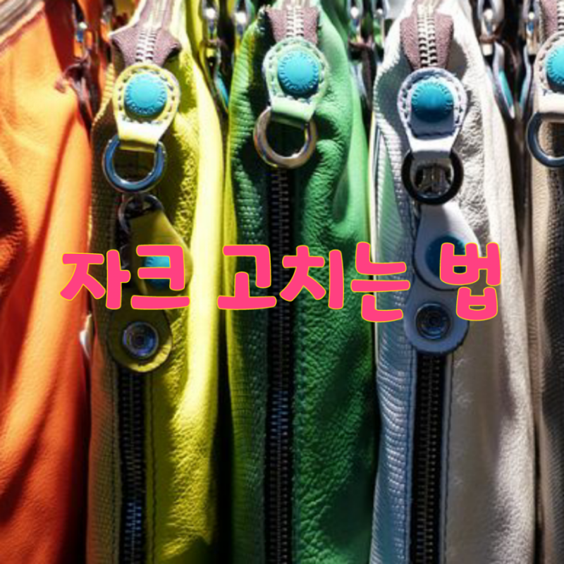 자크고치는 법//