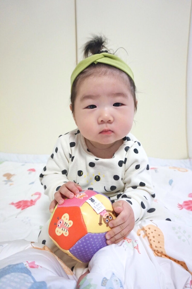  [육아일기] 생후 210~230일 그녀의 근황, 육아템 추천
