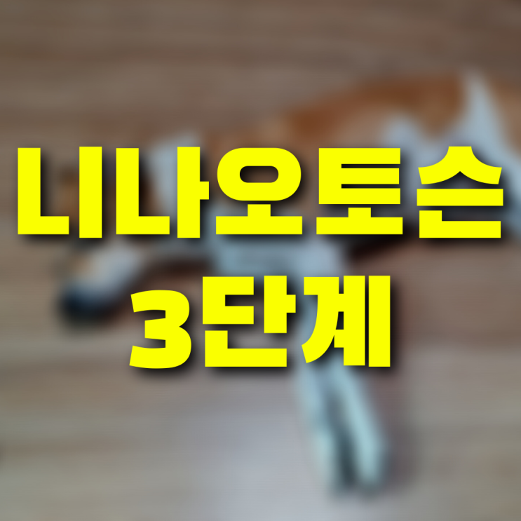 니나오토슨 3단계 도그 카지노 초보견은 접근 금지!