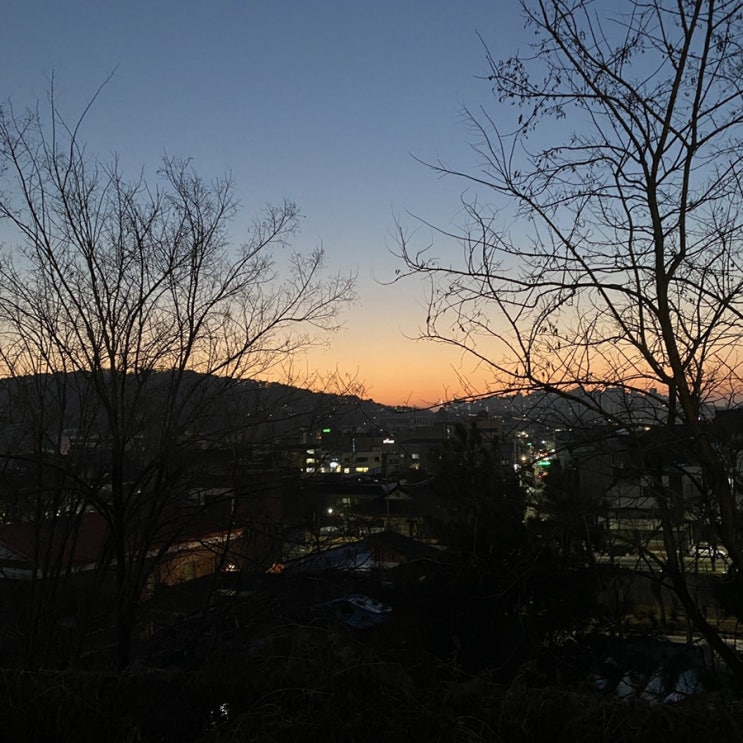  너무나도 길었던, 그리고 한순간 같았던 1월의 정리