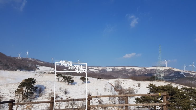  평창여행 겨울의 삼양목장