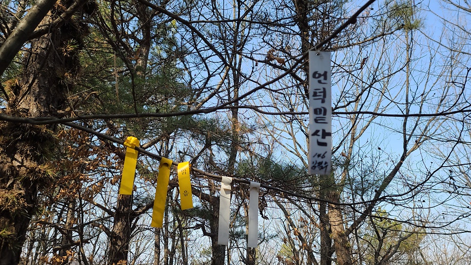 언덕밑산 사진 6