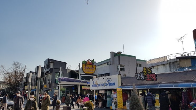  강릉여행 강릉중앙시장 맛집 List