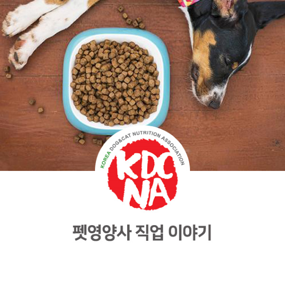  [한국반려동물영양협회/익산/나의반려/군산/펫푸드자격증/애견수제간식창업/강아지화식/고양이자연식] 신생 직업 펫영양사 소개_729