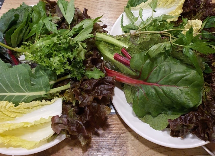  구리시 맛집 추천 제육쌈밥