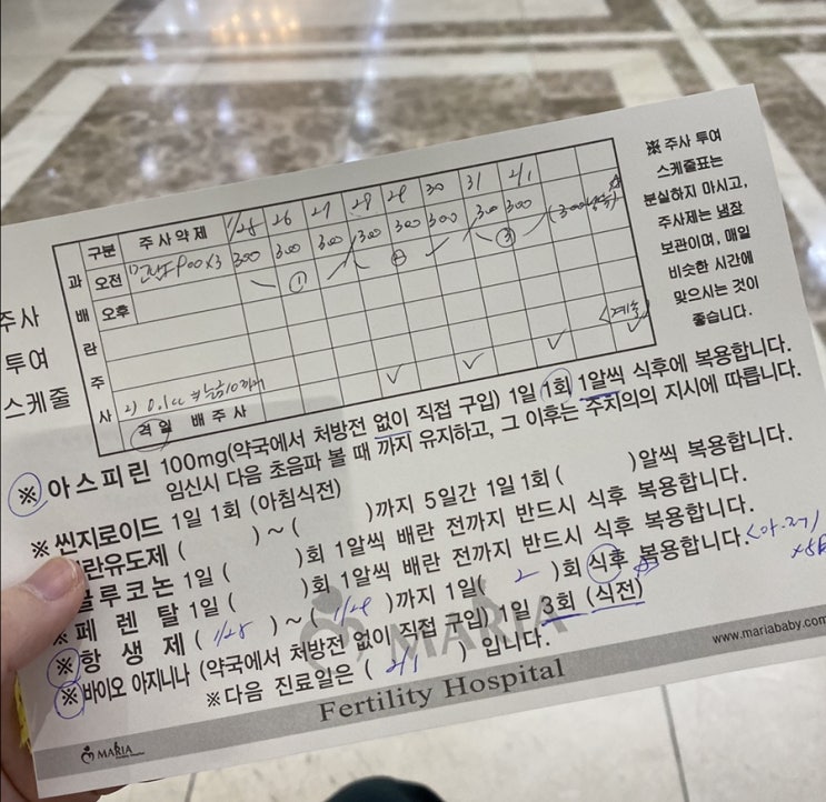 둘째 난임- 대구마리아병원) 시험관아기준비 과정 1 -자궁내시경,약,배주사