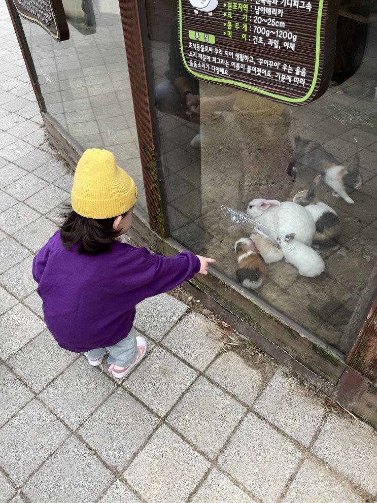  18개월 다정이랑 보내는 일상 / 동물원 가기