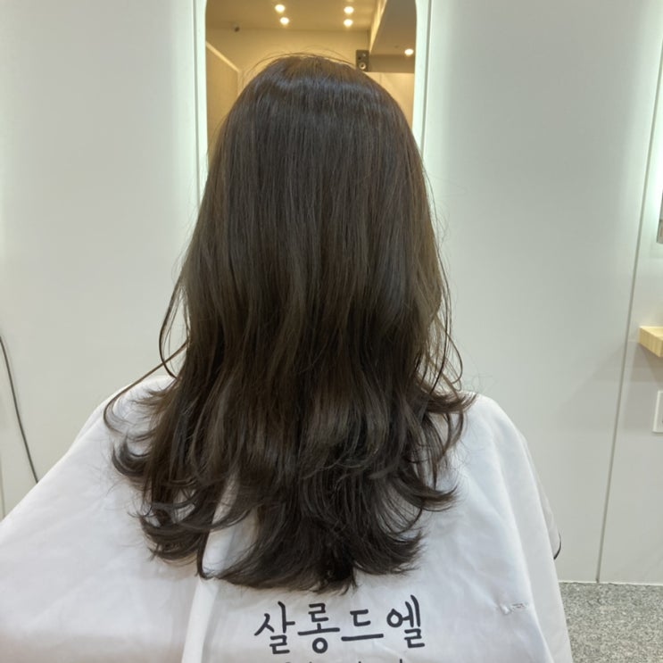 광주 상무지구 미용실 추천 ‘살롱드엘’ 자신있게 추천하는 머리 맛집 ! (염색/클리닉 진행) 광주 상무지구 미용실 추천 ‘살롱드엘’ 자신있게 추천하는 머리 맛집 ! (염색/클리닉 진행)
