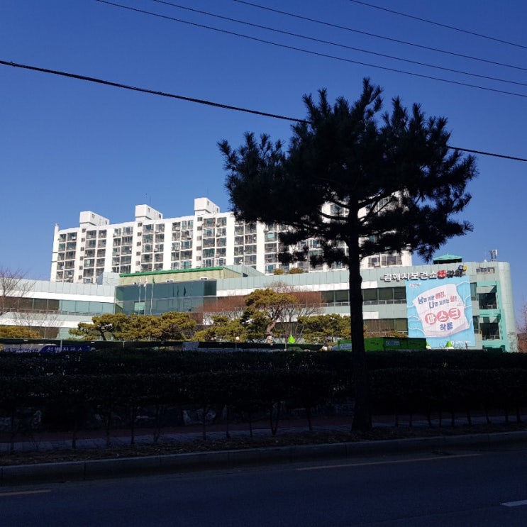  어쩌다보니 자가격리, 코로나19