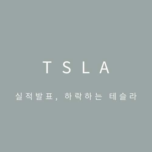 [분석글] 테슬라주가 조정중