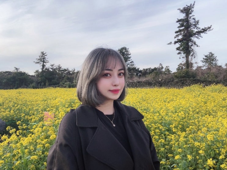  [ 제주도 ] 제주 서귀포 성산, 중문 추천 여행코스