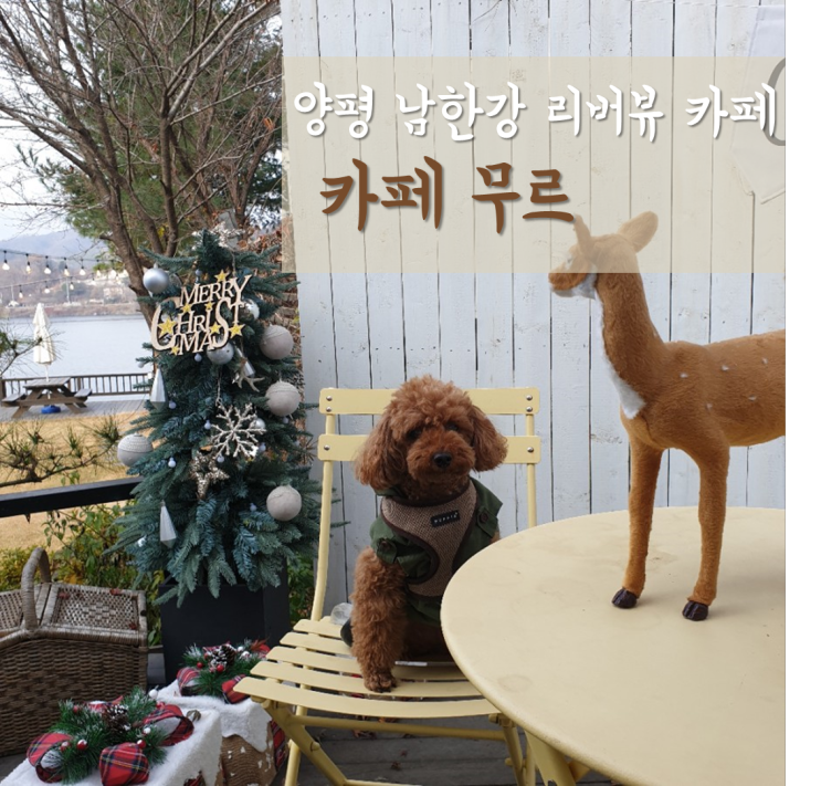  카페무르, 양평 남한강 리버뷰 애견동반 카페