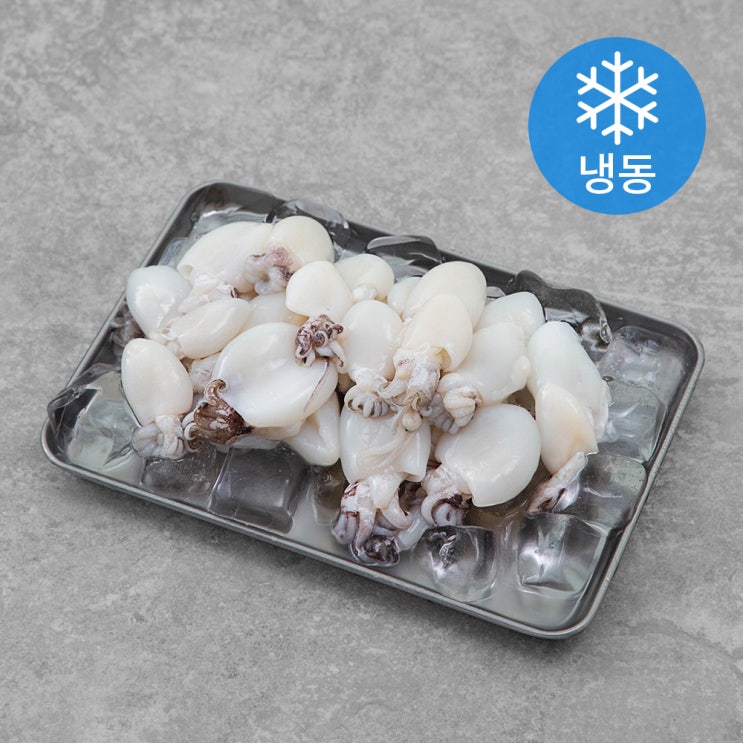 선택고민 해결 청정한씨푸드 냉동갑오징어 60/80 (냉동), 2.4kg, 1박스(로켓배송) 추천합니다 선택고민 해결 청정한씨푸드 냉동갑오징어 60/80 (냉동), 2.4kg, 1박스(로켓배송) 추천합니다