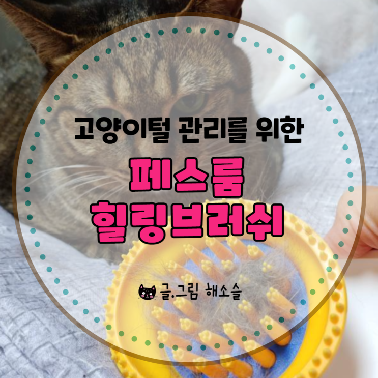  고양이빗 페스룸힐링브러쉬로 고양이털 관리해요~
