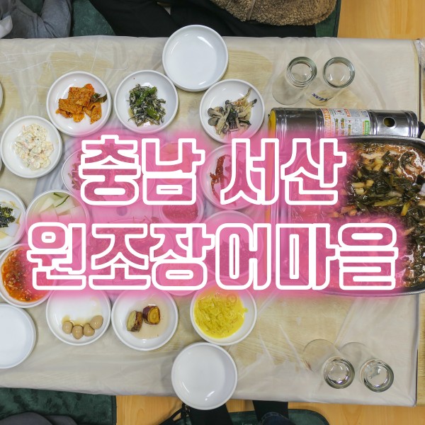  충남 서산 파김치 장어 맛집 원조장어마을