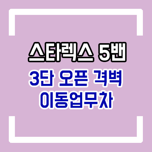  스타렉스 5밴 격벽 개조 중고차 개조/이동 업무 구조변경/차박 침상 개조