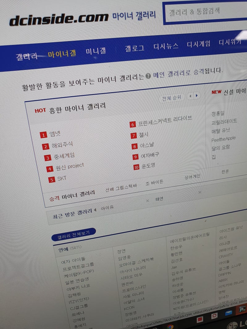 디시인사이드 갤러리 용어 자유로운 곳 / 뜻 : 네이버 블로그