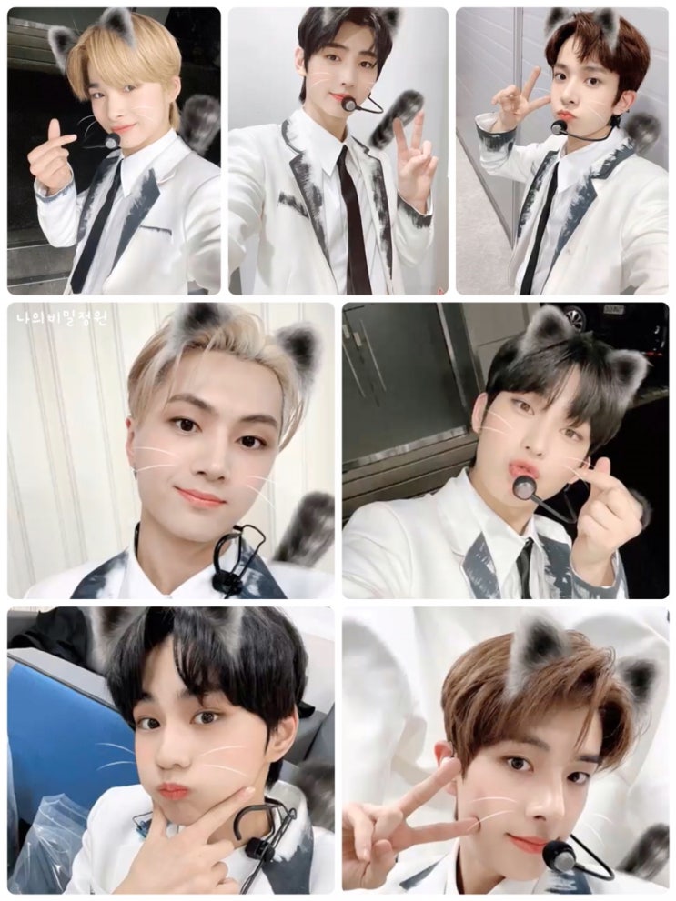    ⁦ENGENE⁩ 에게 기쁨을 선물해 줄 요정은 누가 될까요 ೃ༄*ੈ 