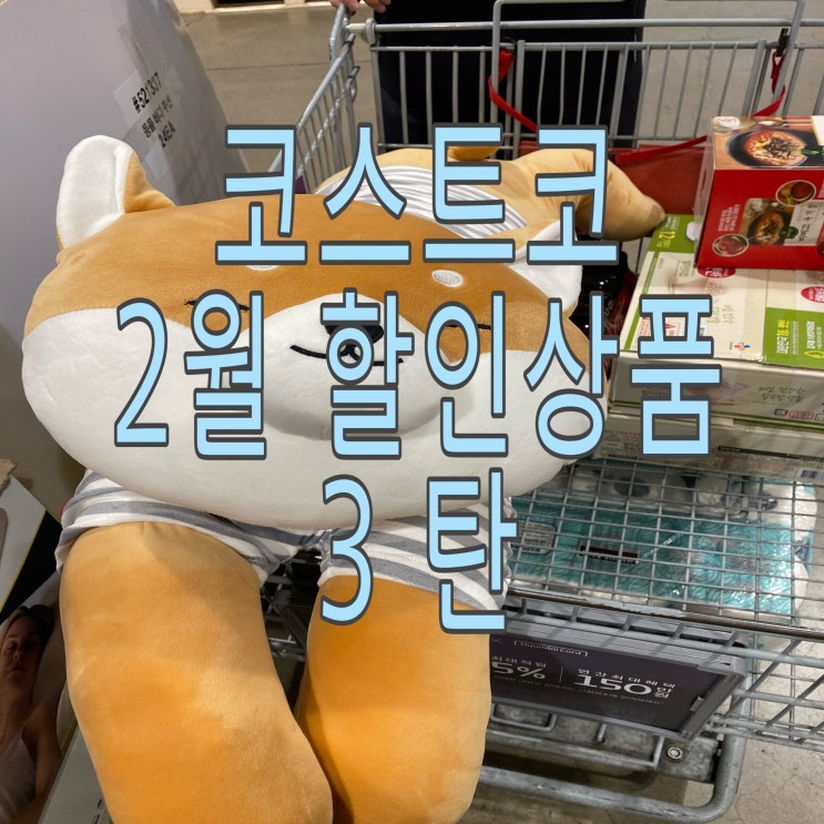  [코스트코 대구점 3탄] 2021년 2월 할인 상품(식료품, 건강식품, 차량용품 등) + 추천 상품 다모음