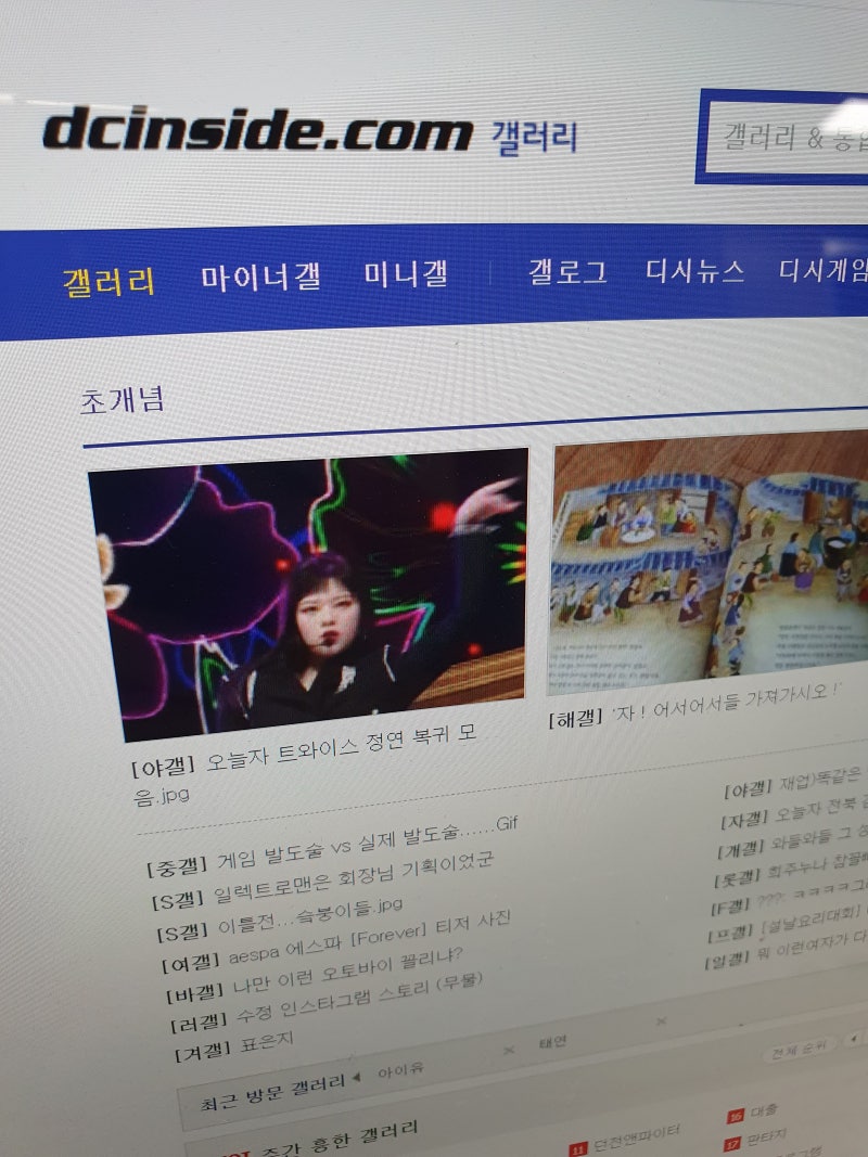 디시인사이드 갤러리 용어 자유로운 곳 / 뜻 : 네이버 블로그