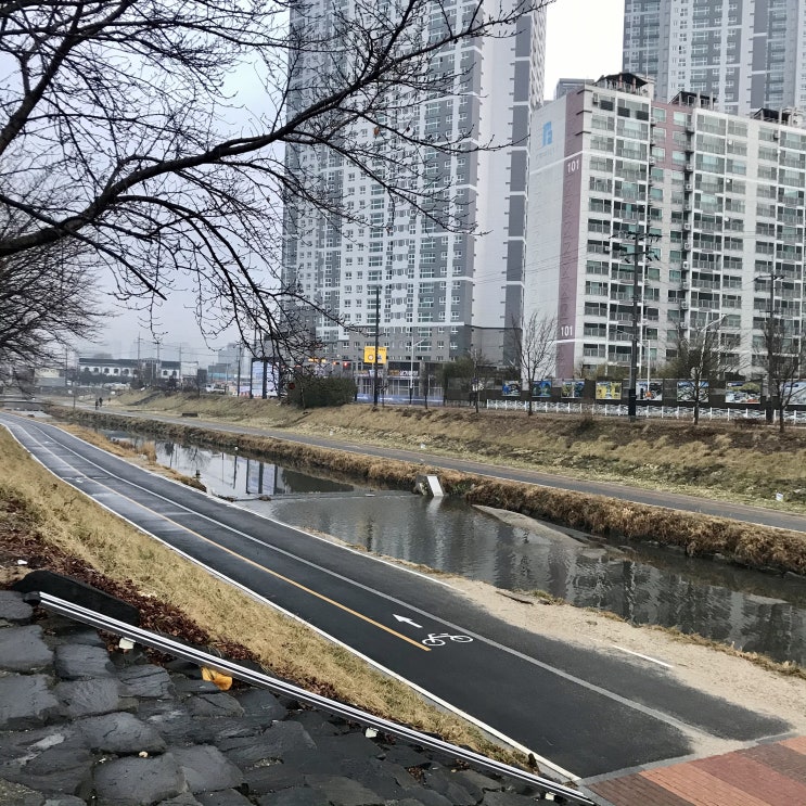 2021년 새해 첫 도보 출근길