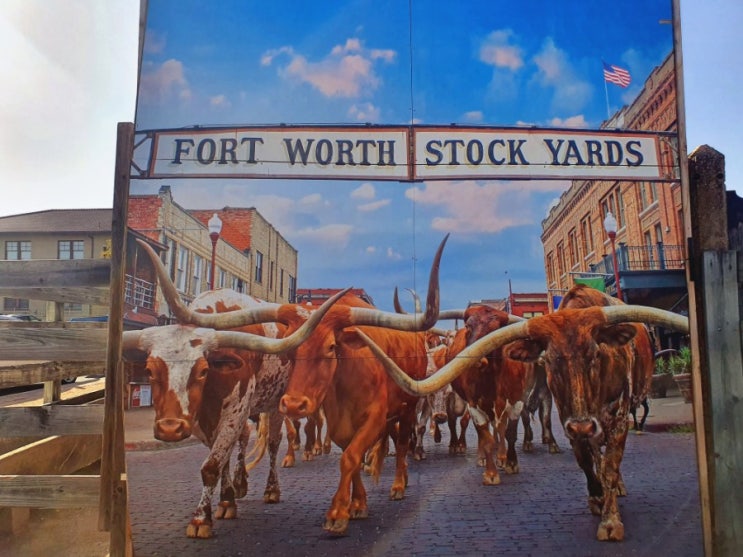 텍사스 포트워스 가볼만한곳 /스톡야즈(stockyards)