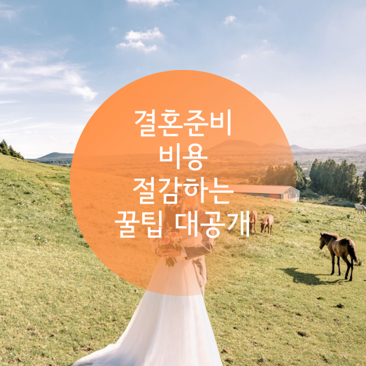  아무도 알려주지 않은 결혼준비 비용 버는 꿀팁 공개!!