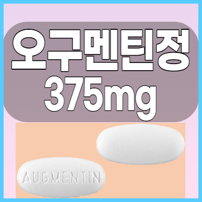  오구멘틴정 375mg 항생제 복용전 부작용과 주의사항 올바른 복용법 체크해봅시다