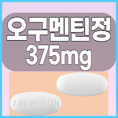 오구멘틴정 375mg 항생제 복용전 부작용과 주의사항 올바른 복용법 체크해봅시다