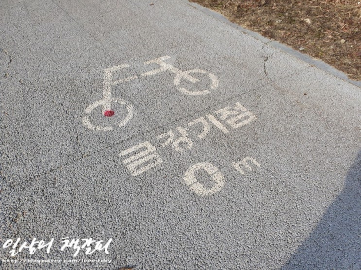  세종시 어울림 공공자전거 렌탈서비스 후기! 주말 금강 라이딩