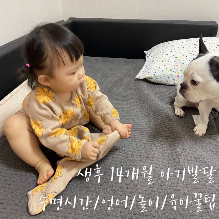  생후 14개월 아기발달 수면시간 언어 놀이 육아꿀팁