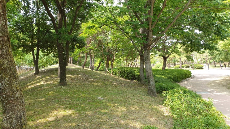  하복부 통증 팽만 원인