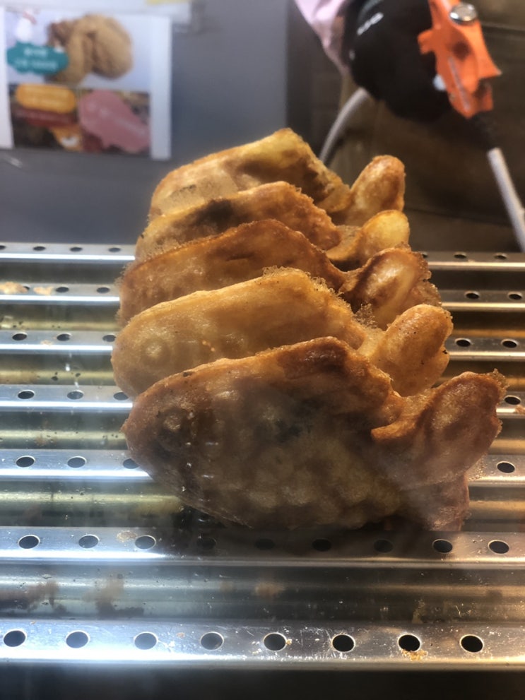  따끈따끈한 국민 겨울간식, 붕어빵. 강릉의 붕세권은 어디?