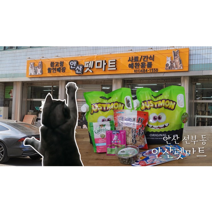 안산고양이용품 오프라인 쇼핑은 안산 선부동 펫마트