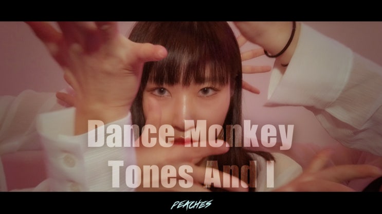  Tones And I -Dance Monkey I Barbie_k choreography