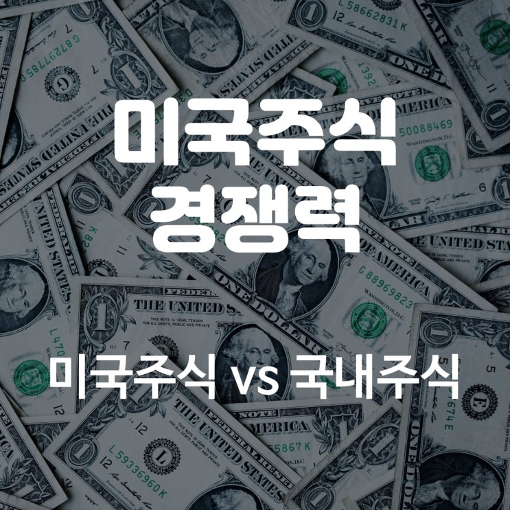  미국주식이 국내주식보다 경쟁력 있는 이유 (feat. 뉴욕주민)